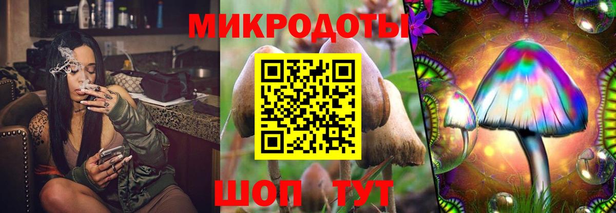 Галлюциногенные грибы Psilocybine cubensis  Псилоцибиновые грибы GOLDEN TEACHER  Большой Камень  Вход с VPN 